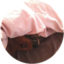 UV Jones profile picture