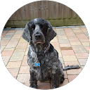 Gary Jacura profile picture