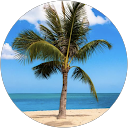 Patrick Meyer profile picture