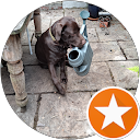 Jolanta Stanke profile picture